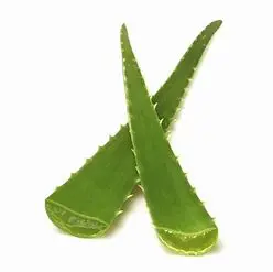 ALOE VERA 18 CT