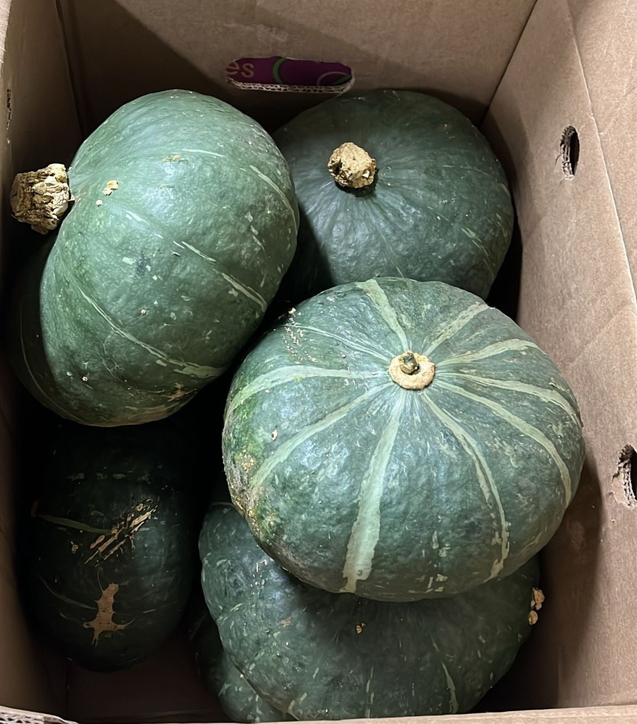 CALABAZA CASCO