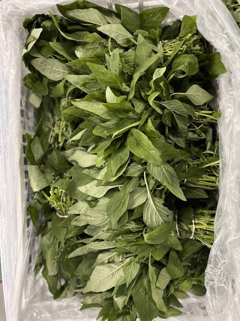 CALLALOO FRESH