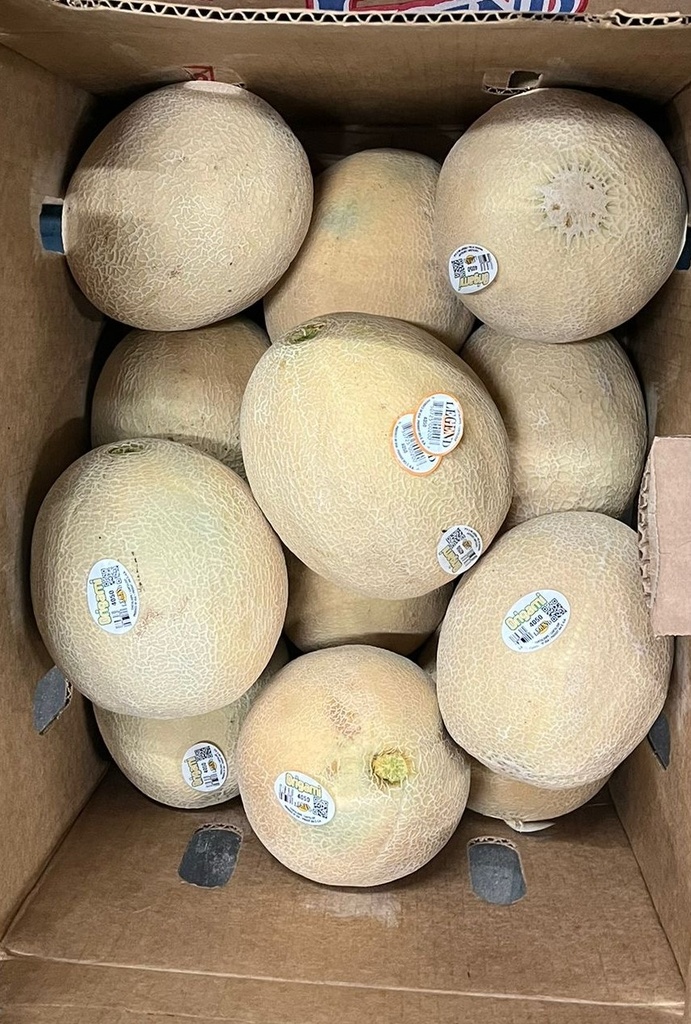 CANTALOUPE 12 CT