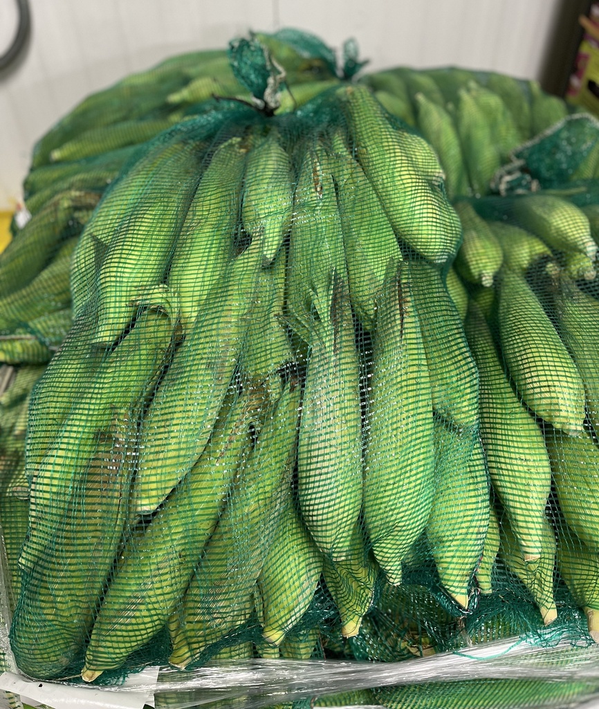 CORN WHITE 48 CT