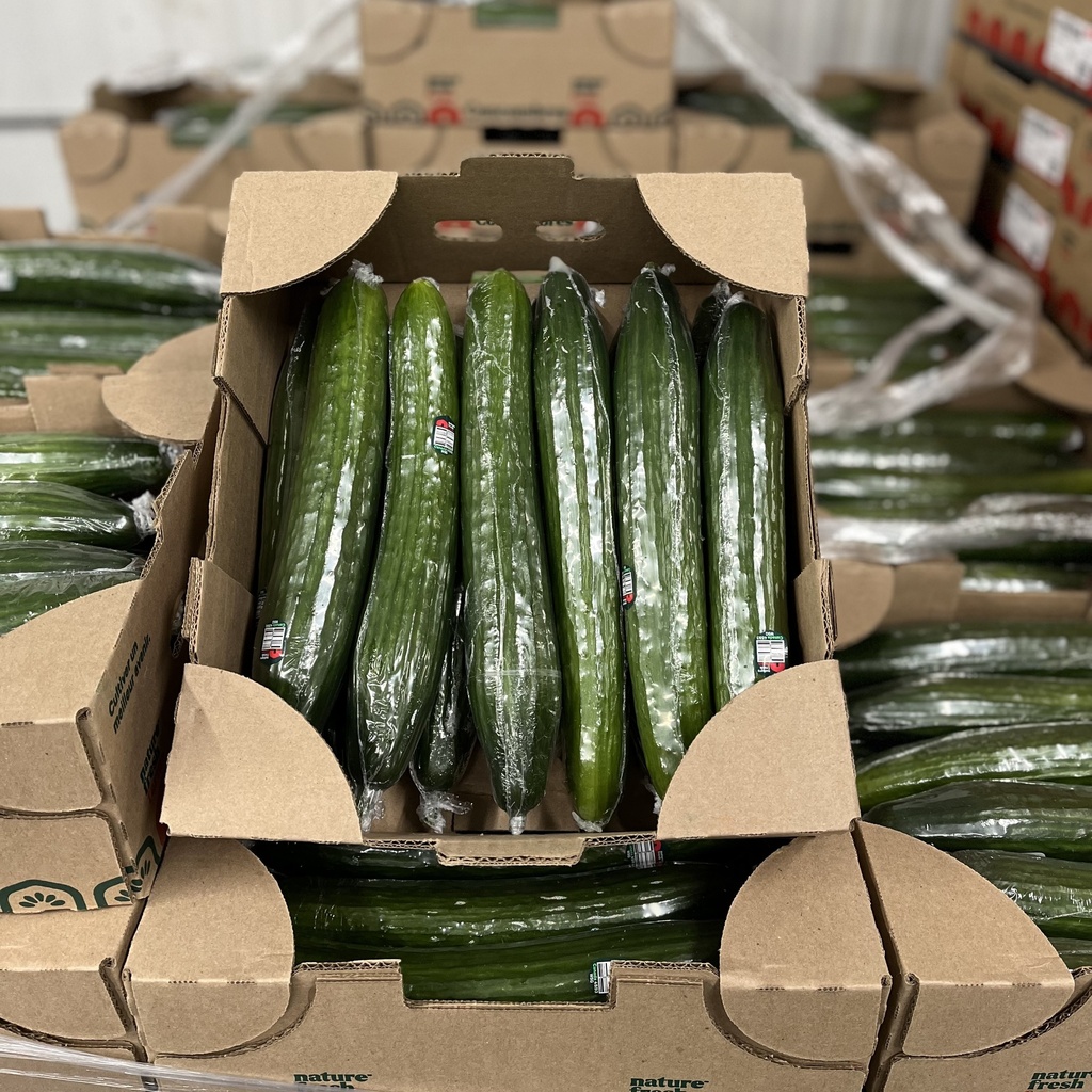 CUCUMBER ENGLISH 12 CT