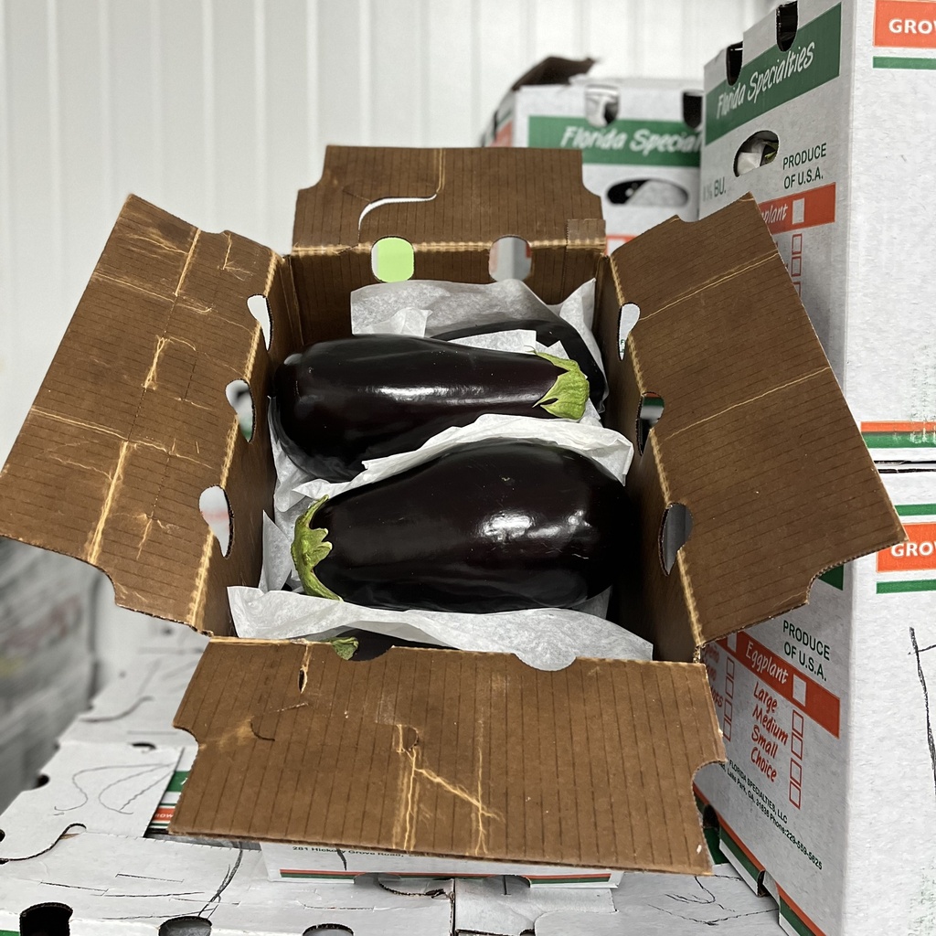 EGGPLANT FANCY 24 CT