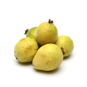 GUAVA 13 LBS