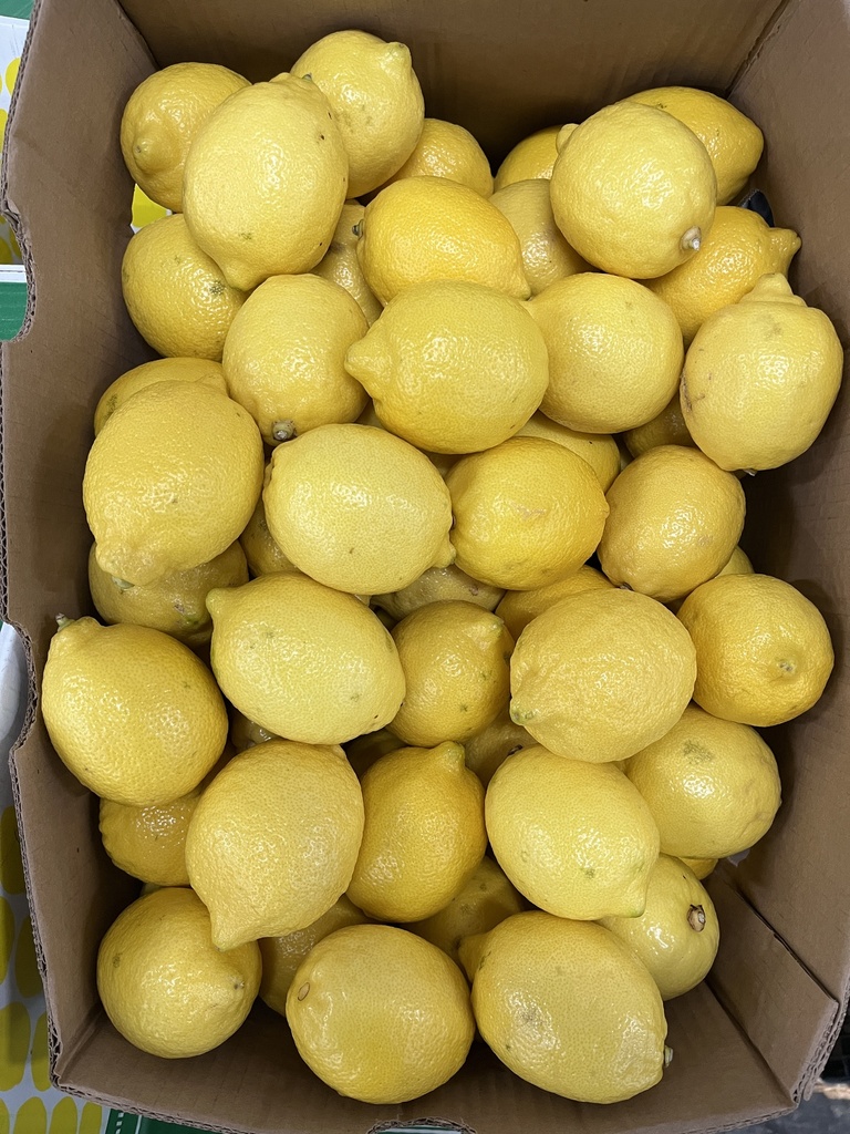 LEMON 140 CT FANCY