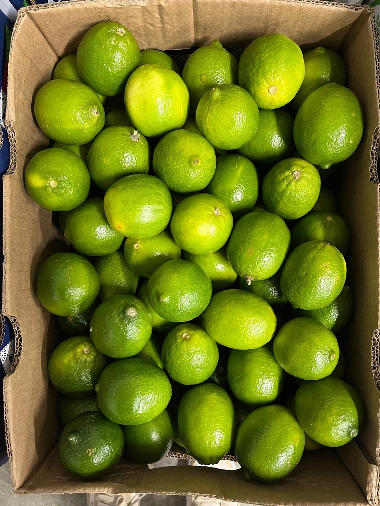 LIME 200 CT