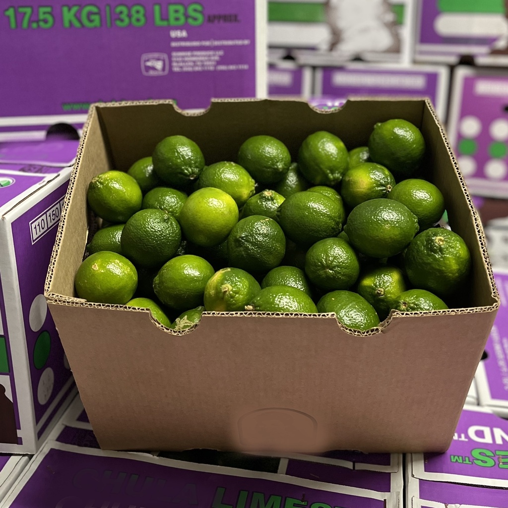 LIME 230 CT