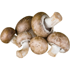 MUSHROOM 8/16 OZ