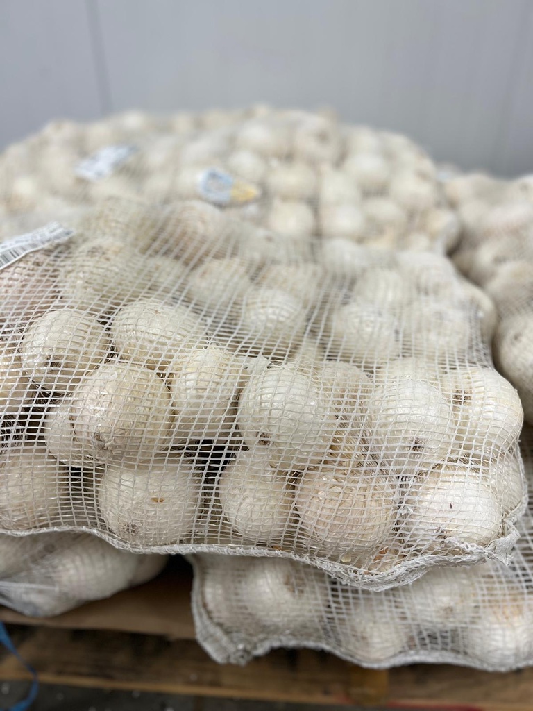 ONION WHITE 24/2 LBS