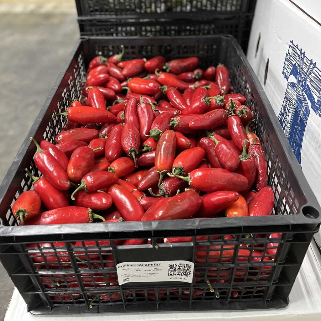 PEPPER JALAPENO RED 