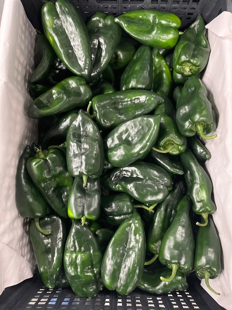 PEPPER POBLANO 22 LBS