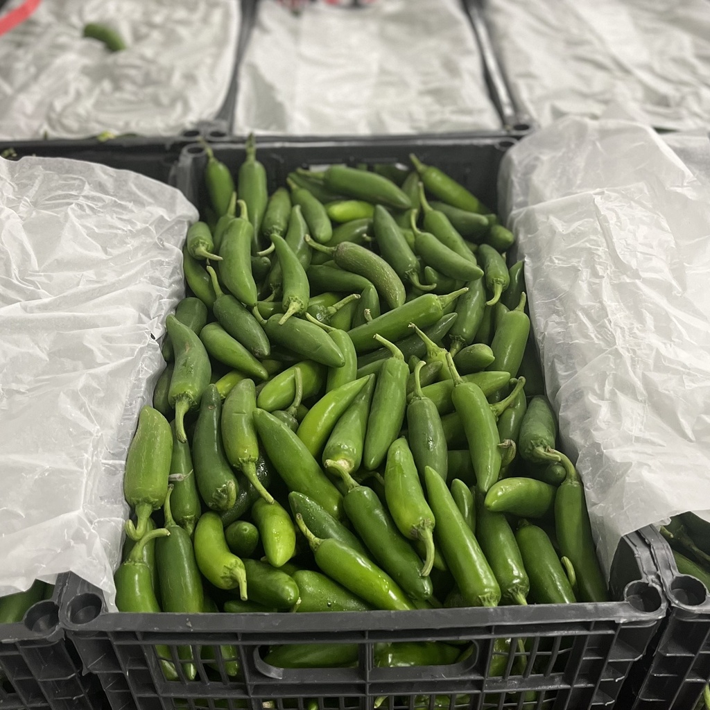 PEPPER SERRANO 35 LBS 