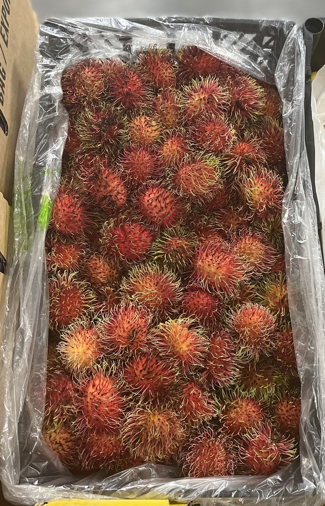 RAMBUTAN 15 LBS