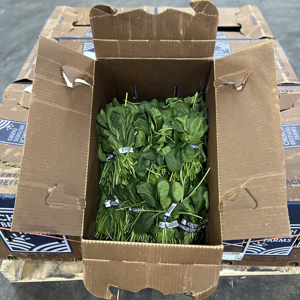 SPINACH BUNCH 24 CT