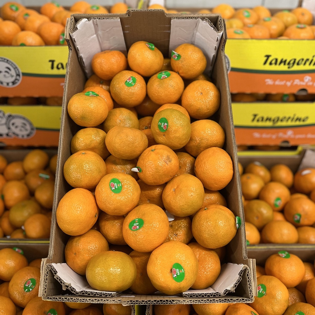 TANGERINE MURCOTT 22 LBS