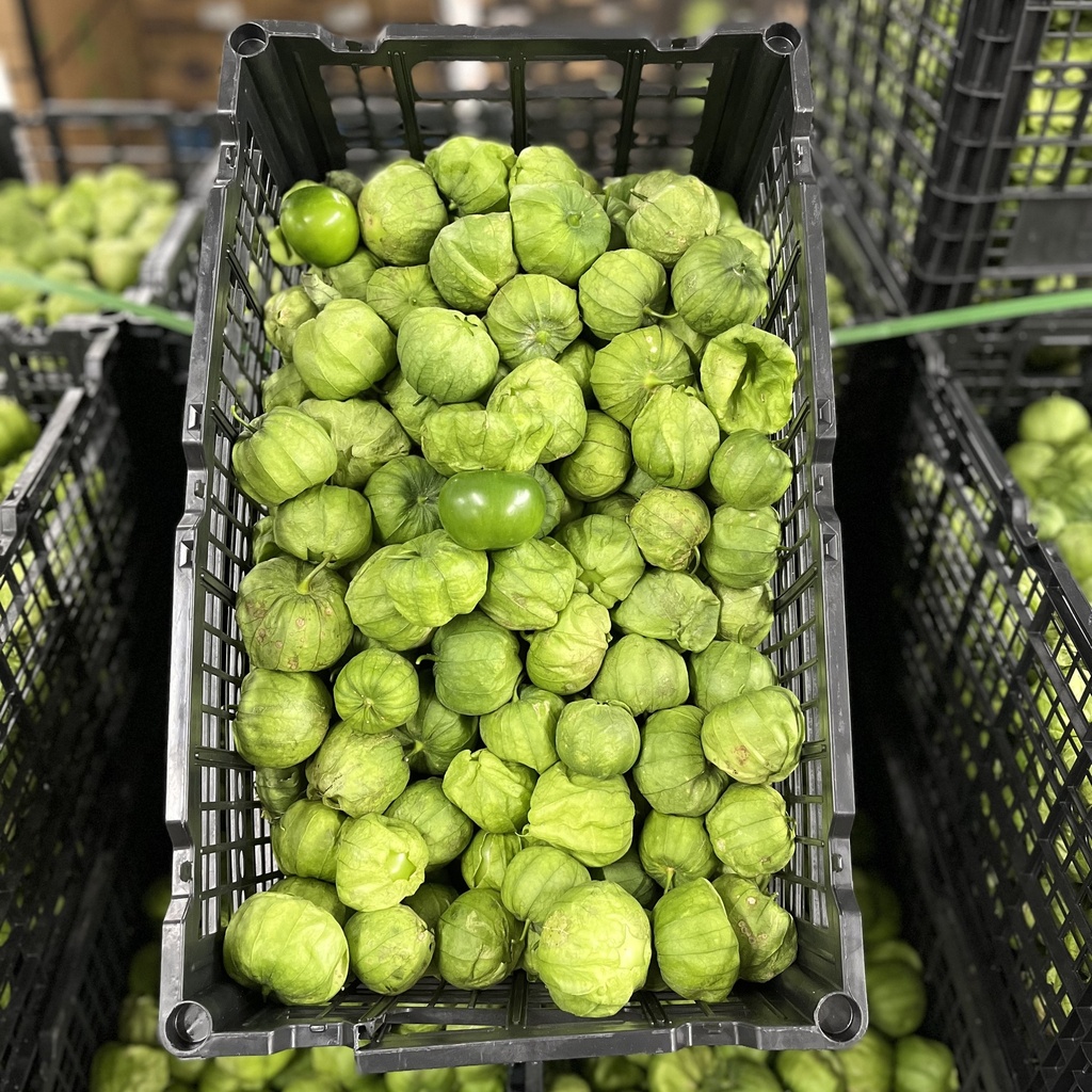 TOMATILLO 35 LBS