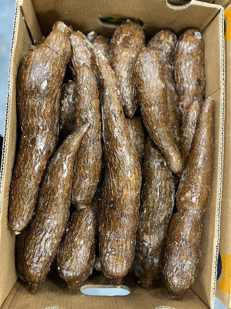 YUCCA 