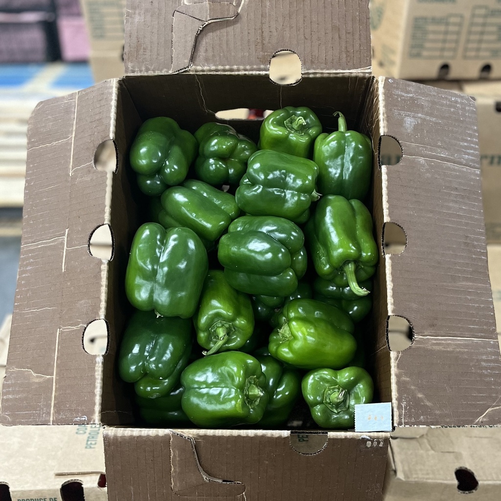 PEPPER BELL GREEN 22 LBS