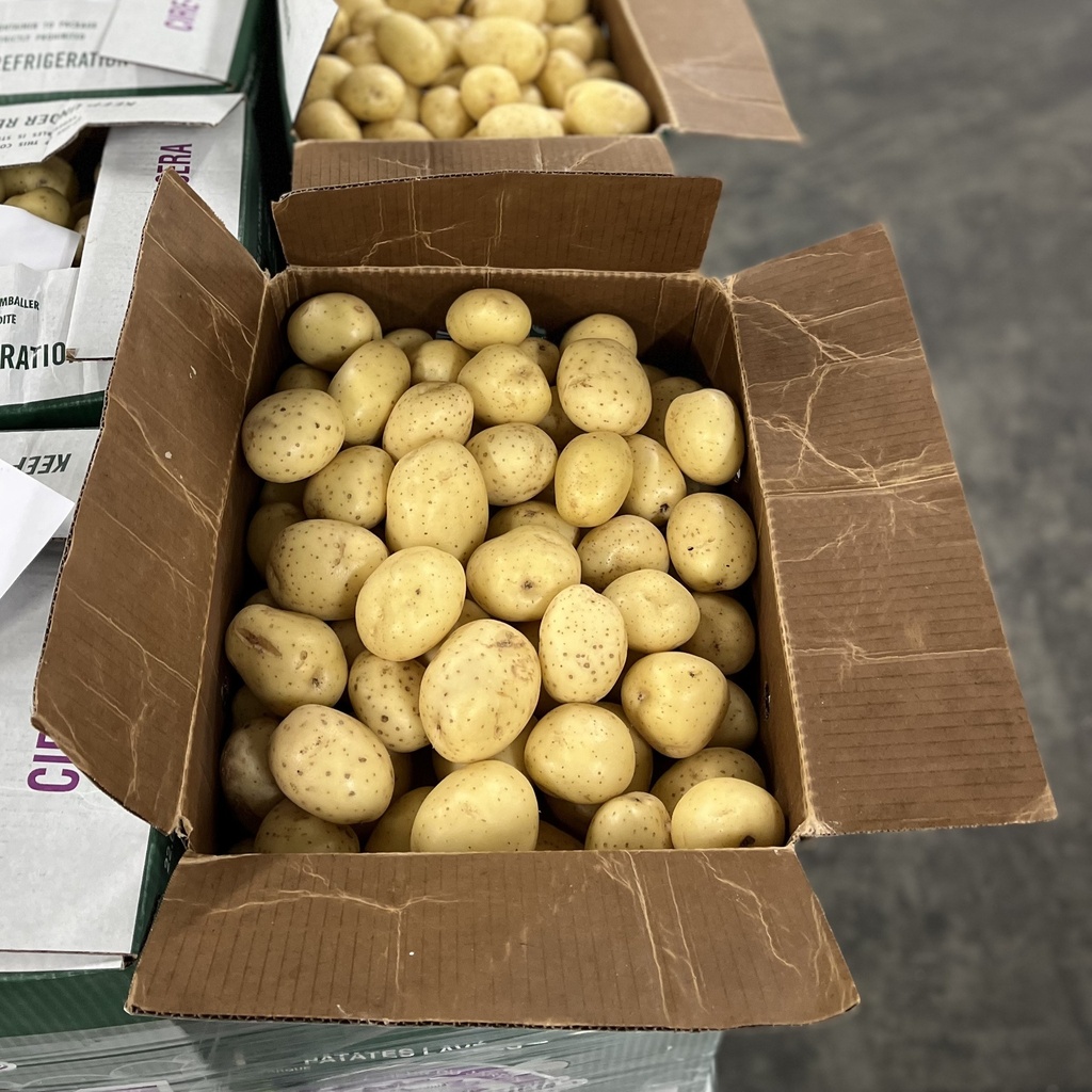 POTATO WHITE 50 LBS