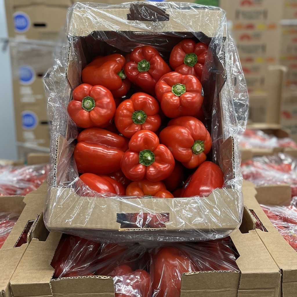 PEPPER BELL RED 22 LBS