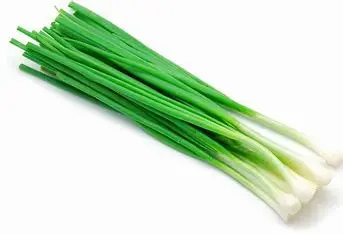 ONION GREEN 48 CT USA
