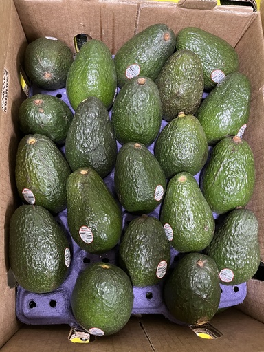 AVOCADO 36 CT 