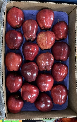 APPLE RED DELICIOUS 88 CT