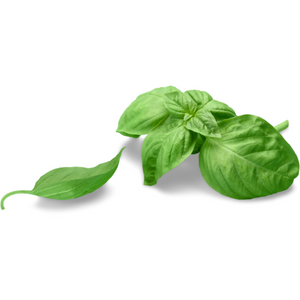 BASIL
