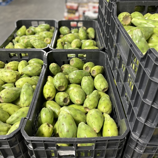 CACTUS FRUIT GREEN