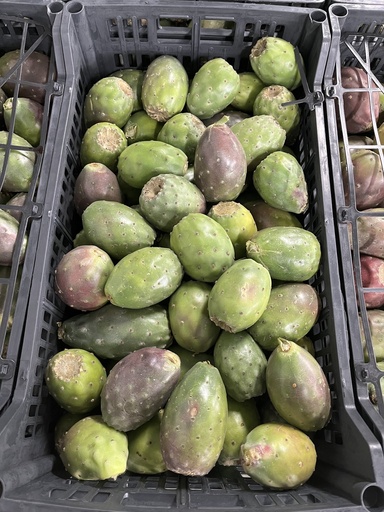 CACTUS FRUIT RED