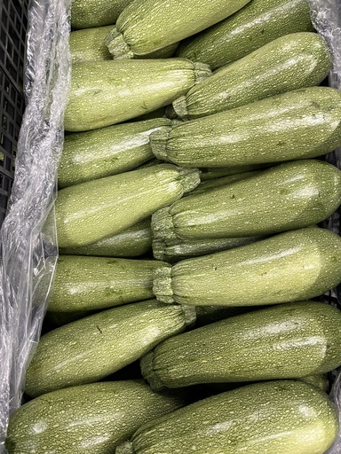 CALABACITA  35 LBS
