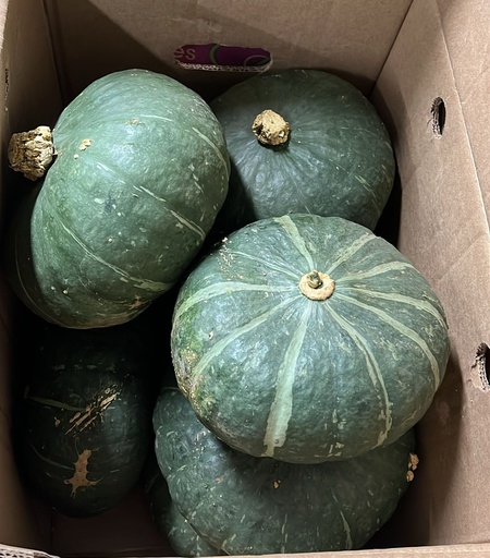 CALABAZA CASCO