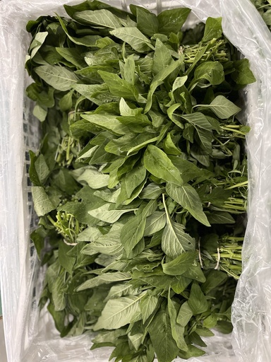 CALLALOO FRESH