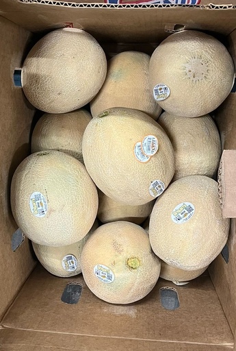 CANTALOUPE 12 CT