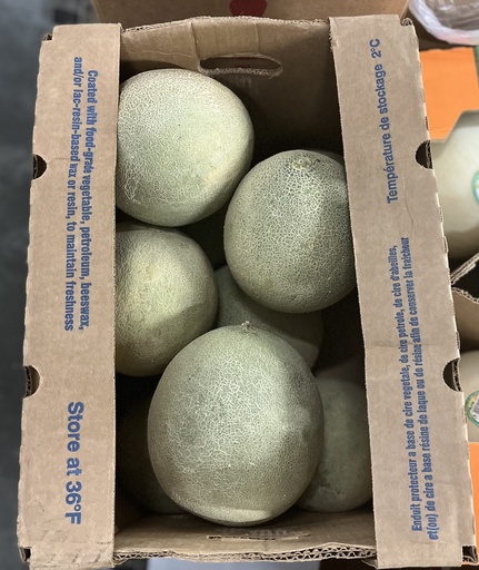 CANTALOUPE 9 CT