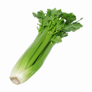 CELERY CELLO 24 CT