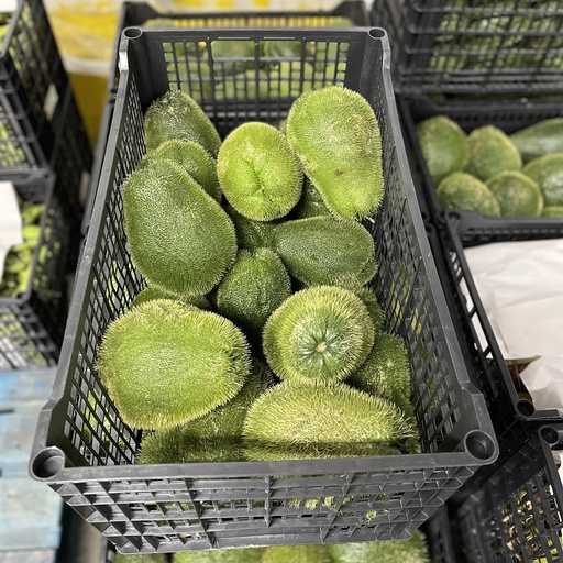 CHAYOTE CON ESPINA 