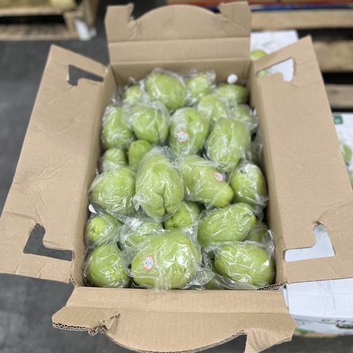 CHAYOTE LISO 
