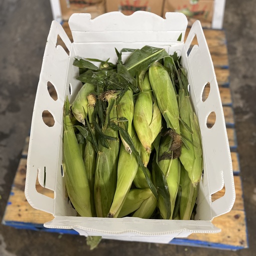 CORN BI COLOR 48 CT