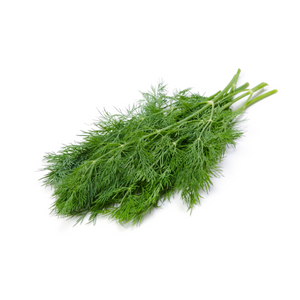 DILL 1LB