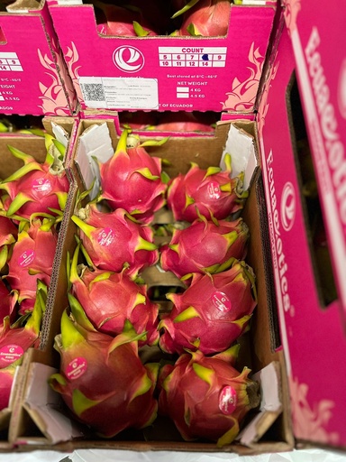 DRAGON FRUIT RED MEX