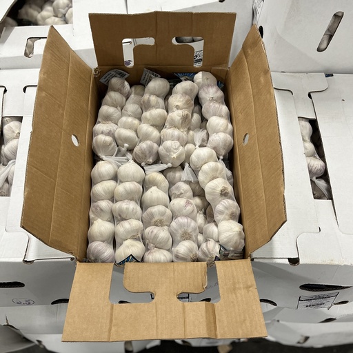 GARLIC 5 PACK 