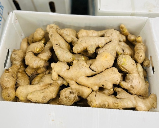 GINGER 
