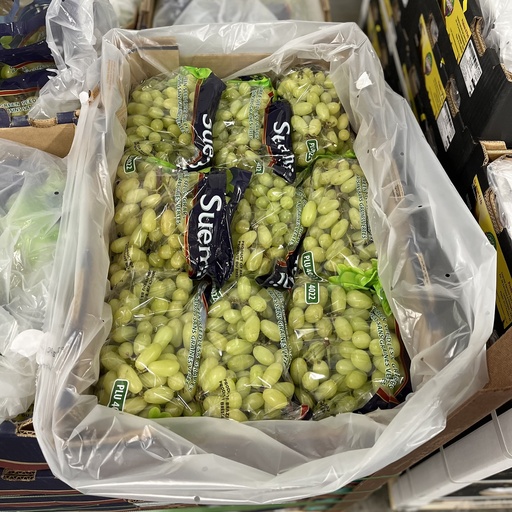 GRAPE GREEN 
