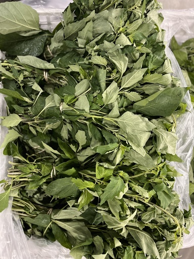 HIERBA MORA