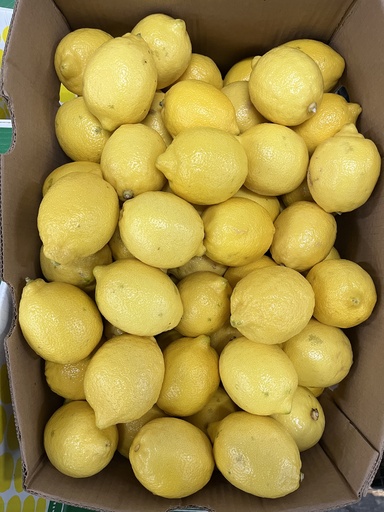 LEMON 140 CT FANCY