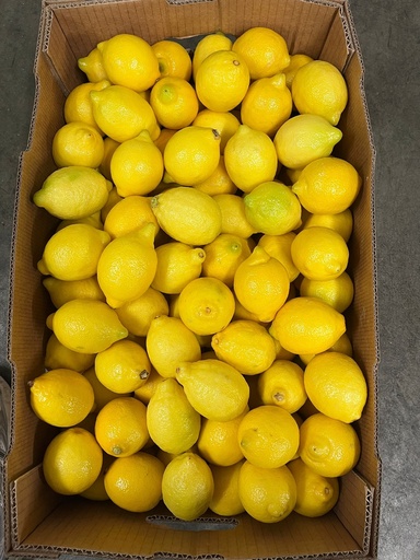 LEMON 165 CT