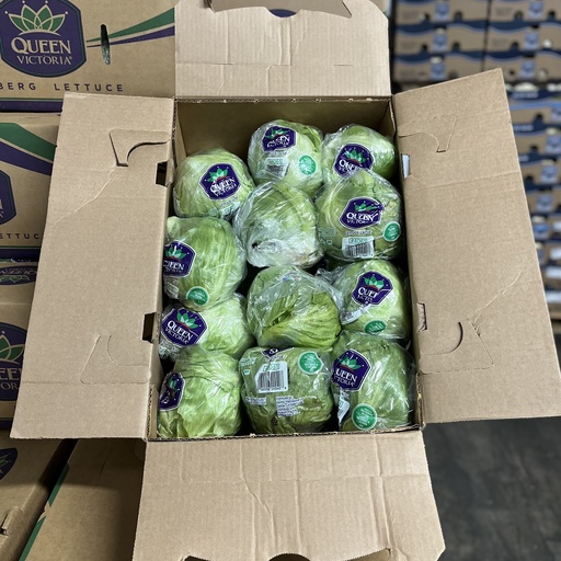 LETTUCE CELLO 24 CT