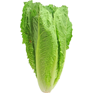 LETTUCE ROMAINE 24 CT