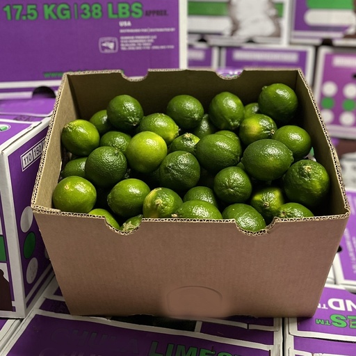 LIME 150 CT